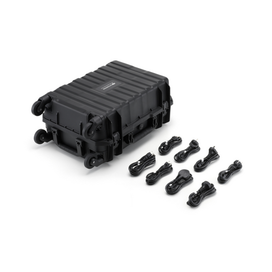 BS100 Intelligent Battery Station